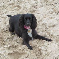 Lucy FivepizemaddogAshdown