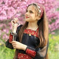 عمر عبد العزيز