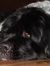 Peggy-S...