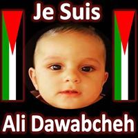 حمدي القاسمي