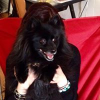 Sofia Barney Padilla