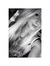 Erin