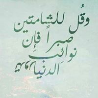 علي السيوطي