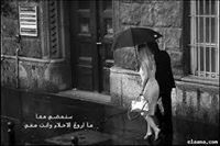 Mohammed Lotfi