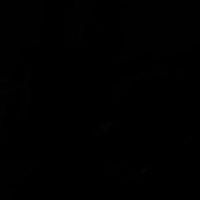 રોનક મેસરીયા