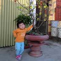 Hung Nguyen