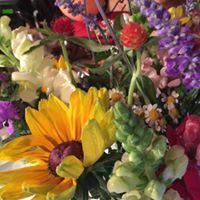 Robin Engels-Heitzman