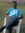Edson C...