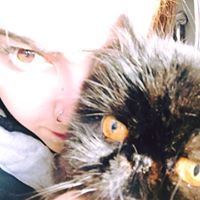 Salem Cat