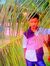 Habil I...