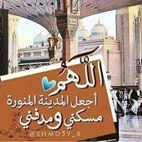 أبوعمر الشنقيطي