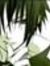 Rain Ma...