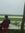 Sujan S...