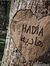 Hadia M...