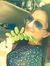 Shivani...