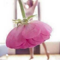 غفران الشمس