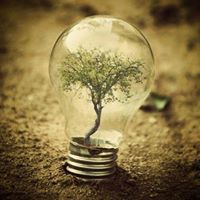 زكي عبد الحميد