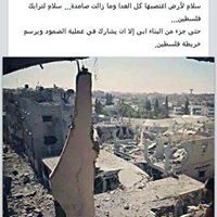 فلسطين عربيه