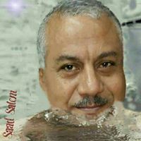 المستشار سالم