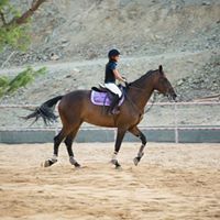 محمد الفرساني