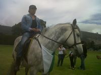Juan Luis