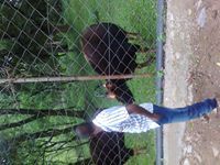 സ്വാമി കമന്ടാനന്ത