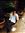 Amith Mv