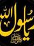 M Raza ...