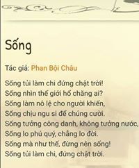 Cương Bùi