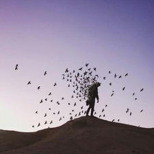 صابرين طوافشة