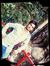 Rajat M...