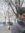 Saif Al...