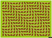 பிரவீன் ராஜேந்திரன்