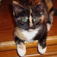 Tillie Bright
