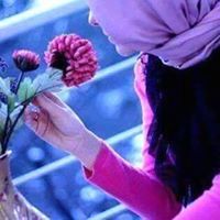 قطرة ندى