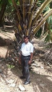 Amitabh Anand