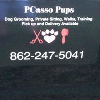 Pcasso Pups