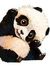 Panda H...