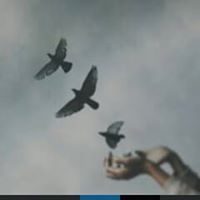 Tåĕmà'å Mtårñêħ ʚiɞ