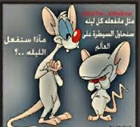 تركي الشمري