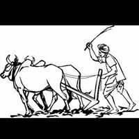 Chethan Jain H A