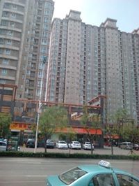 زين العراقي