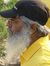 Goutam Roy