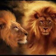 محمود ابو حمره