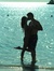 Shane