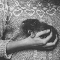 نهايتى معاك