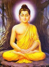 Naresh Babu C