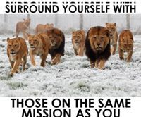 Ingrid Warner-Wilson