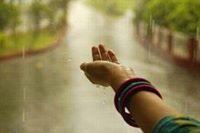 শুধুই পারুল