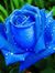 Varun C...